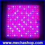 LEDG017-2