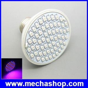 LEDG010